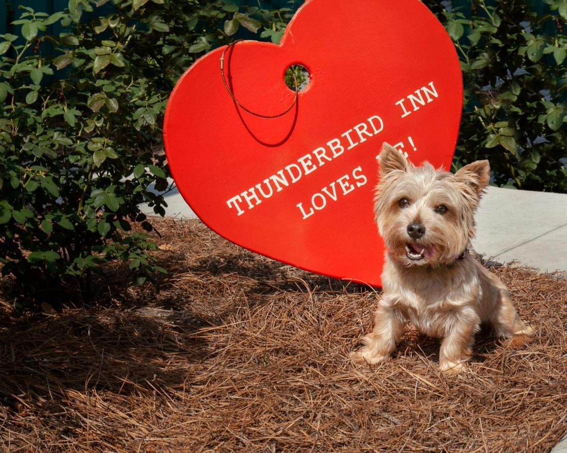 The Thunderbird Inn Savannah Exterior photo